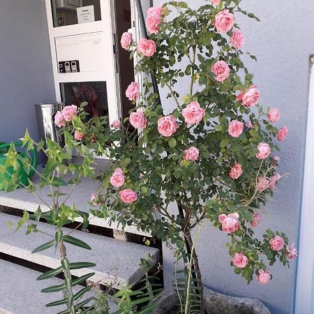 Aparthotel Zum Dom Kleinblittersdorf Dış mekan fotoğraf